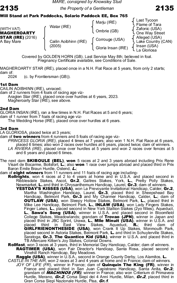 Fiche cheval - MAGHEROARTY STAR - France sire