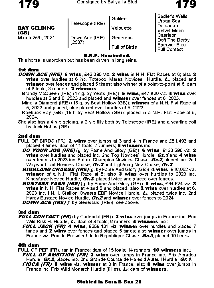 Fiche cheval N (JOHNNY'S ACE 2024) France sire